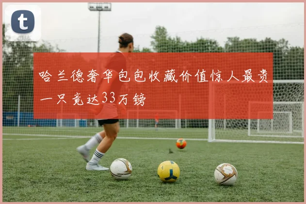 哈兰德奢华包包收藏价值惊人最贵一只竟达33万镑